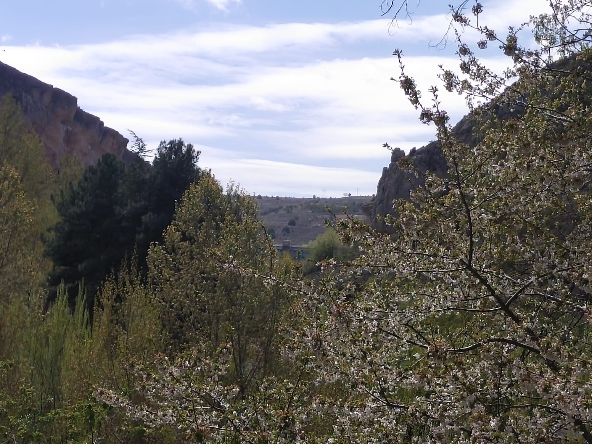 Valle entre desfiladeros rocosos con árboles en flor y pinos bajo el cielo azul.